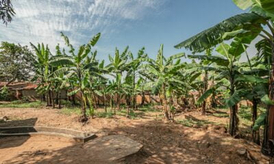 Affordable-Houses-for-sale-in-kigali-000301