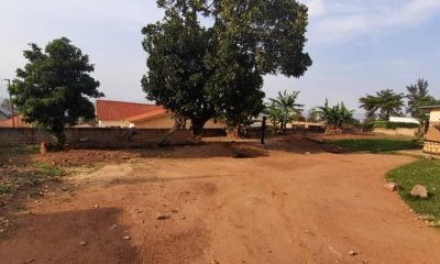 Large Lot with a House For Sale in Kicukiro