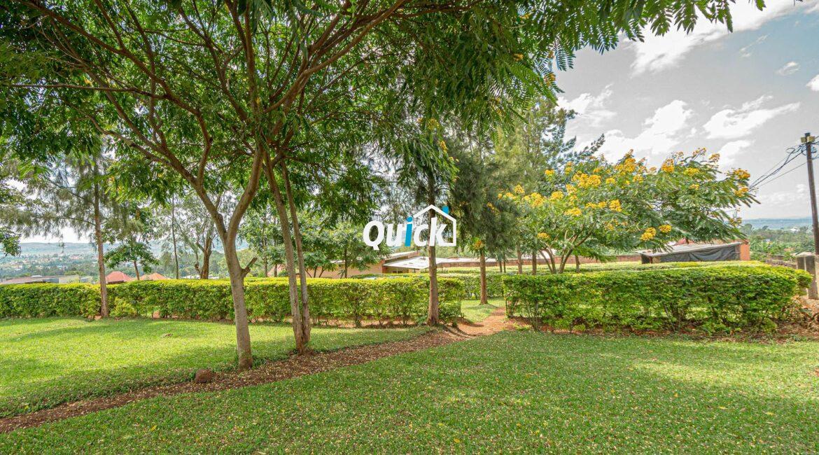 Big-Plot-of-Land-Compound-house-for-sale-001471