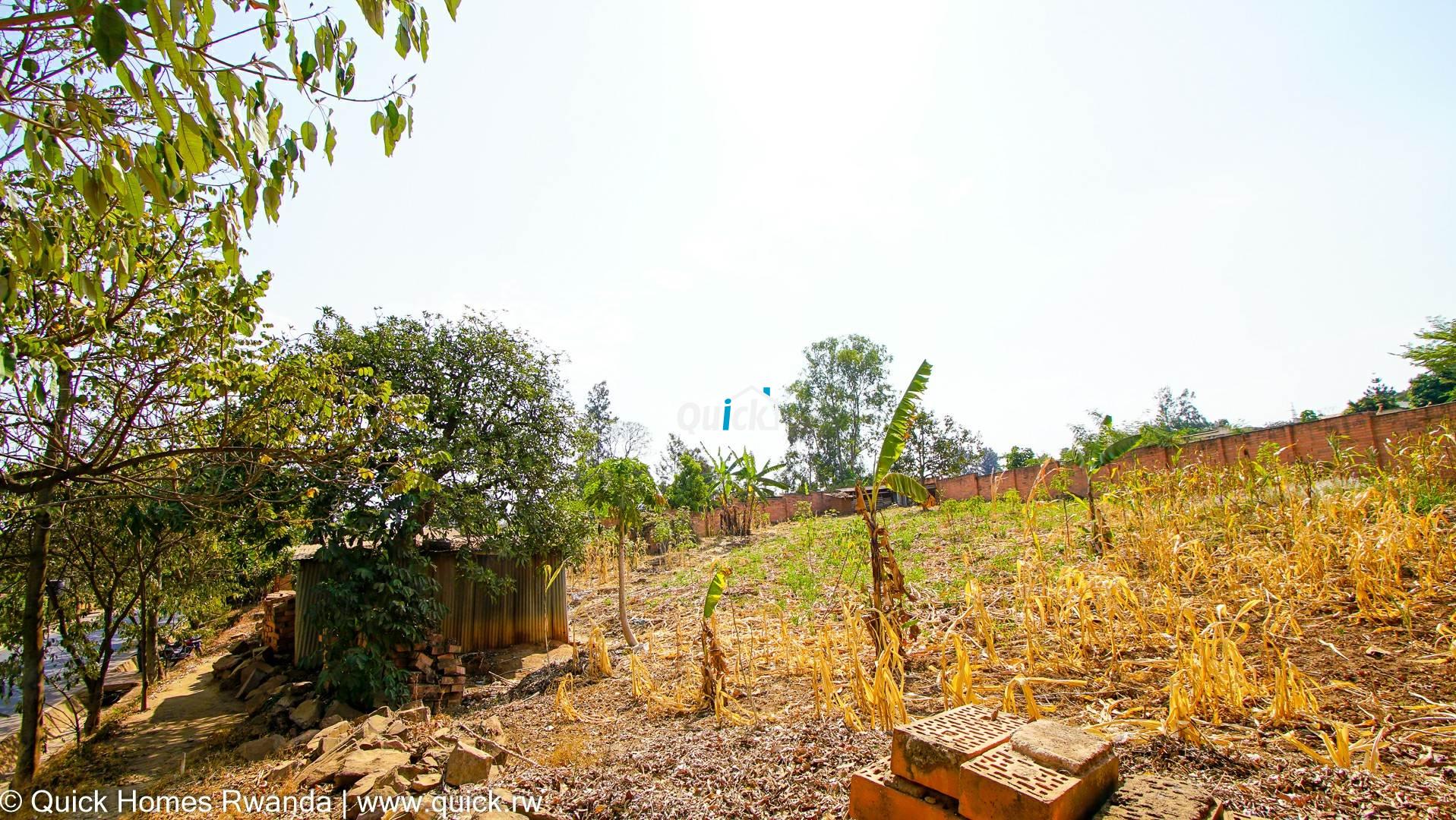 DSC06034-4