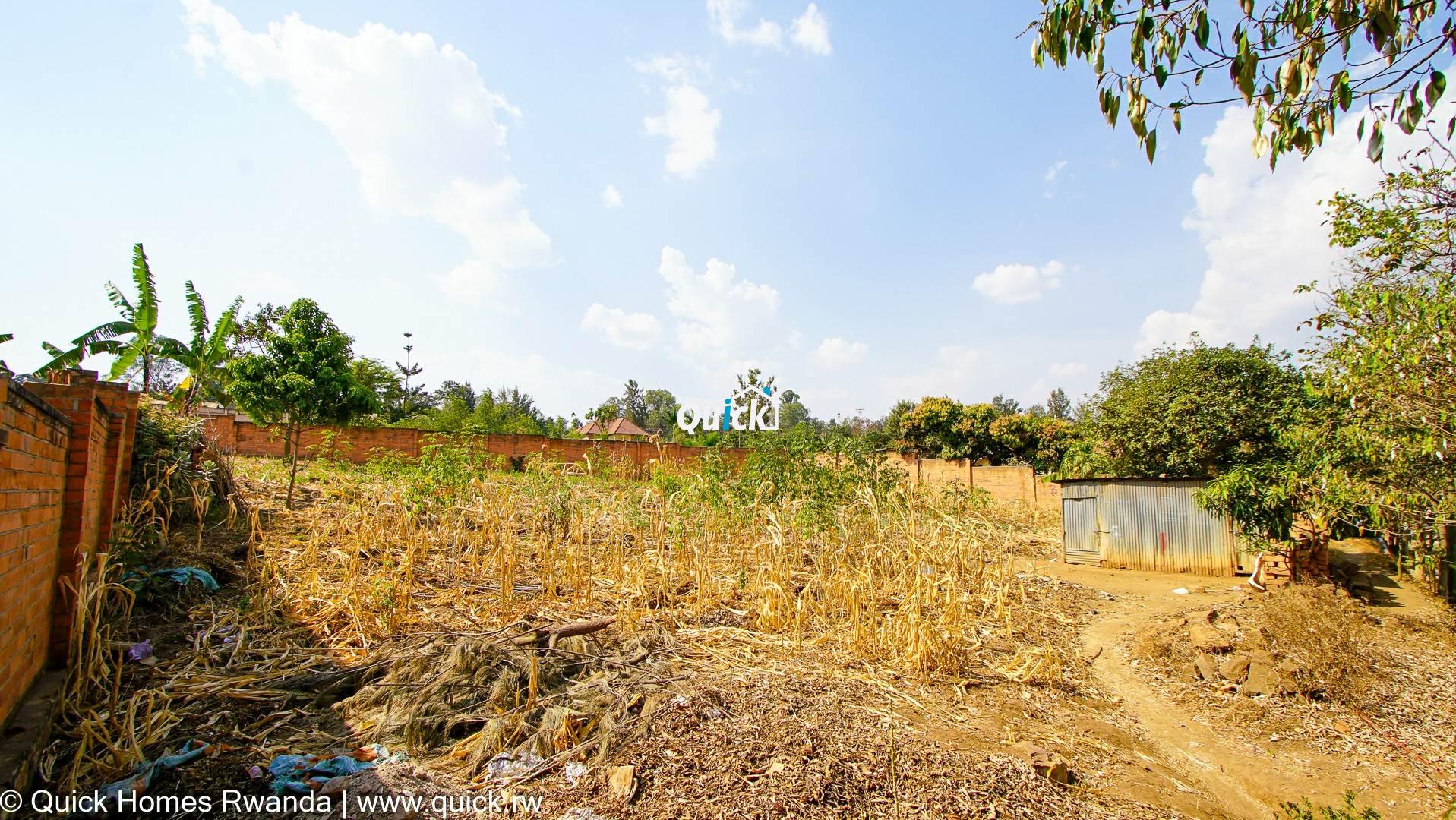 DSC06041-9