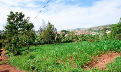 DSC07535-1