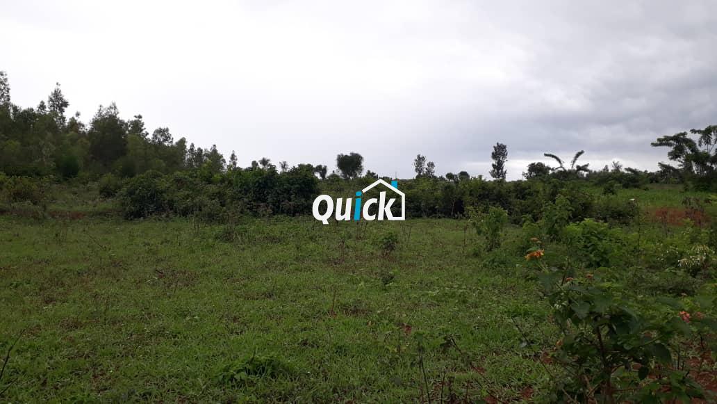 Big-plot-for-sale-in-Bugesera-1