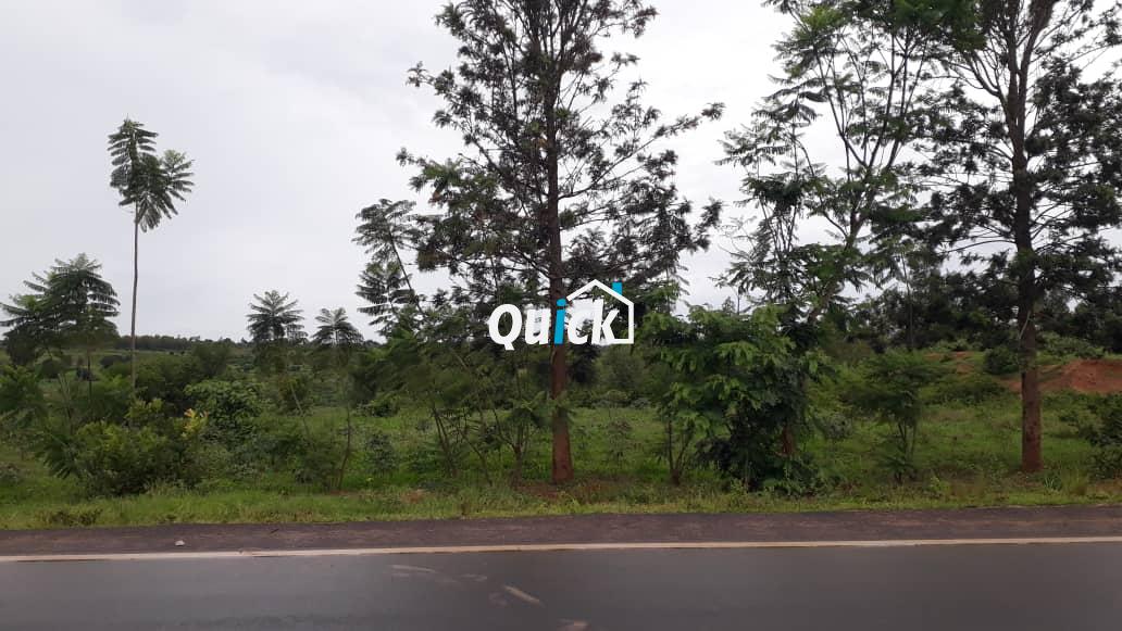 Big-plot-for-sale-in-Bugesera-2