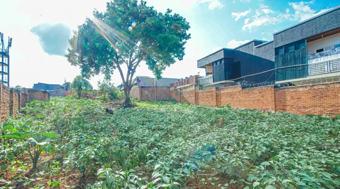 PLOT-FOR-SALE-GASARABA-10