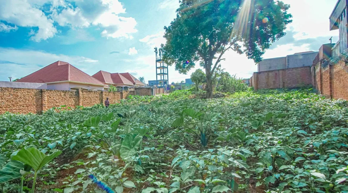 PLOT-FOR-SALE-GASARABA-13-1