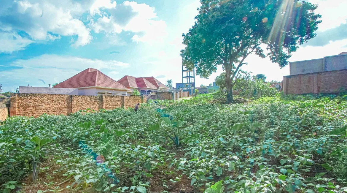 PLOT-FOR-SALE-GASARABA-15