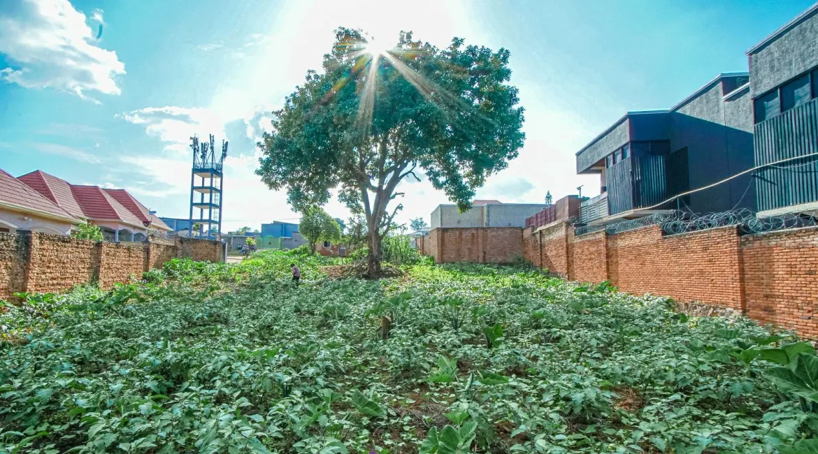 PLOT-FOR-SALE-GASARABA-9