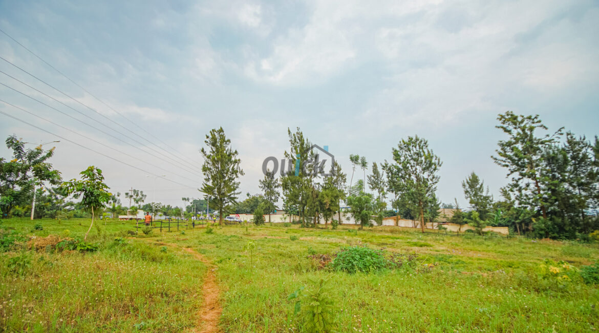 DSC02065