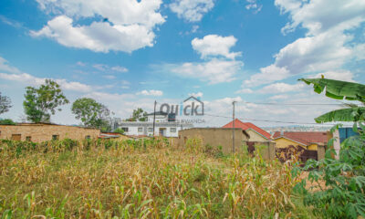 DSC02140