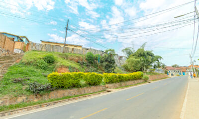 9L9A4588