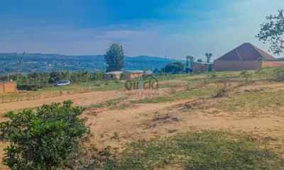 PXL_20251014_060259090