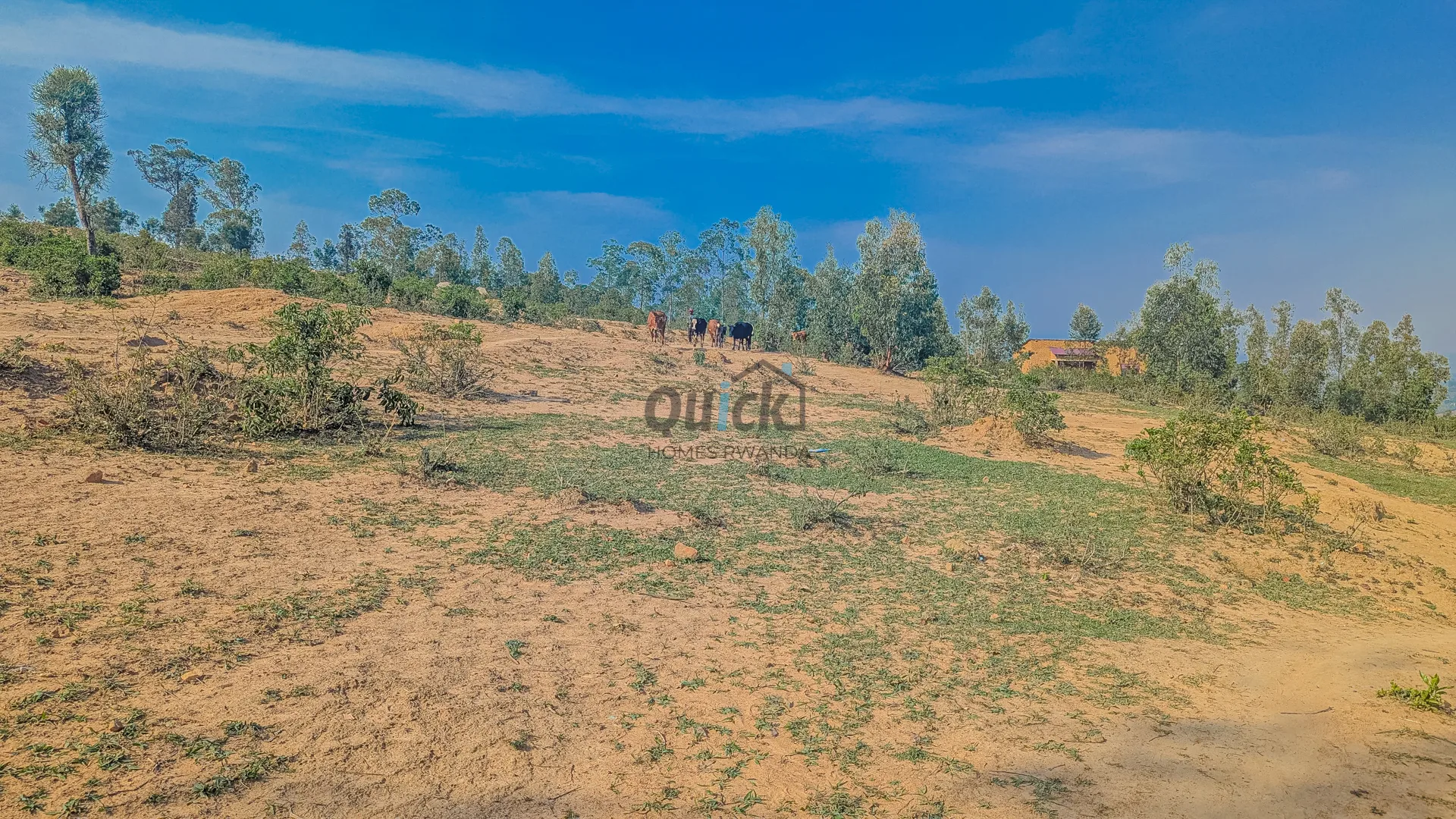 PXL_20251014_060305233