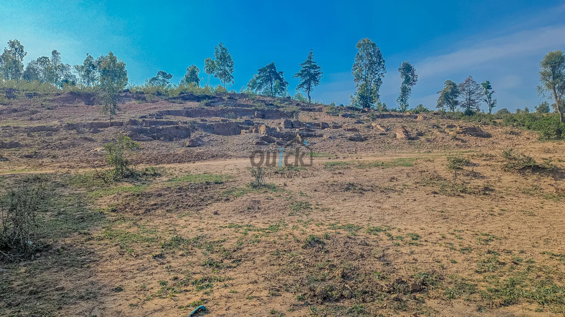 PXL_20251014_060307465