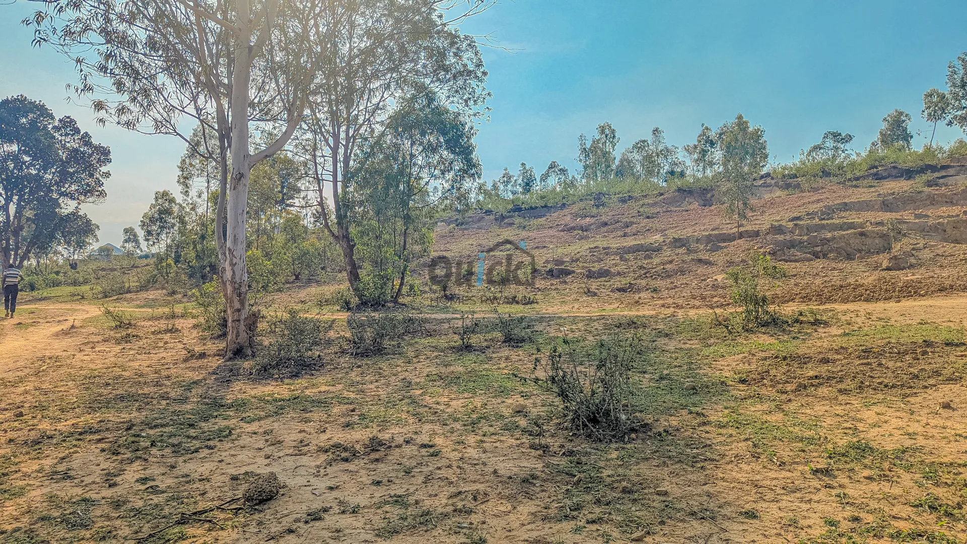 PXL_20251014_060309630