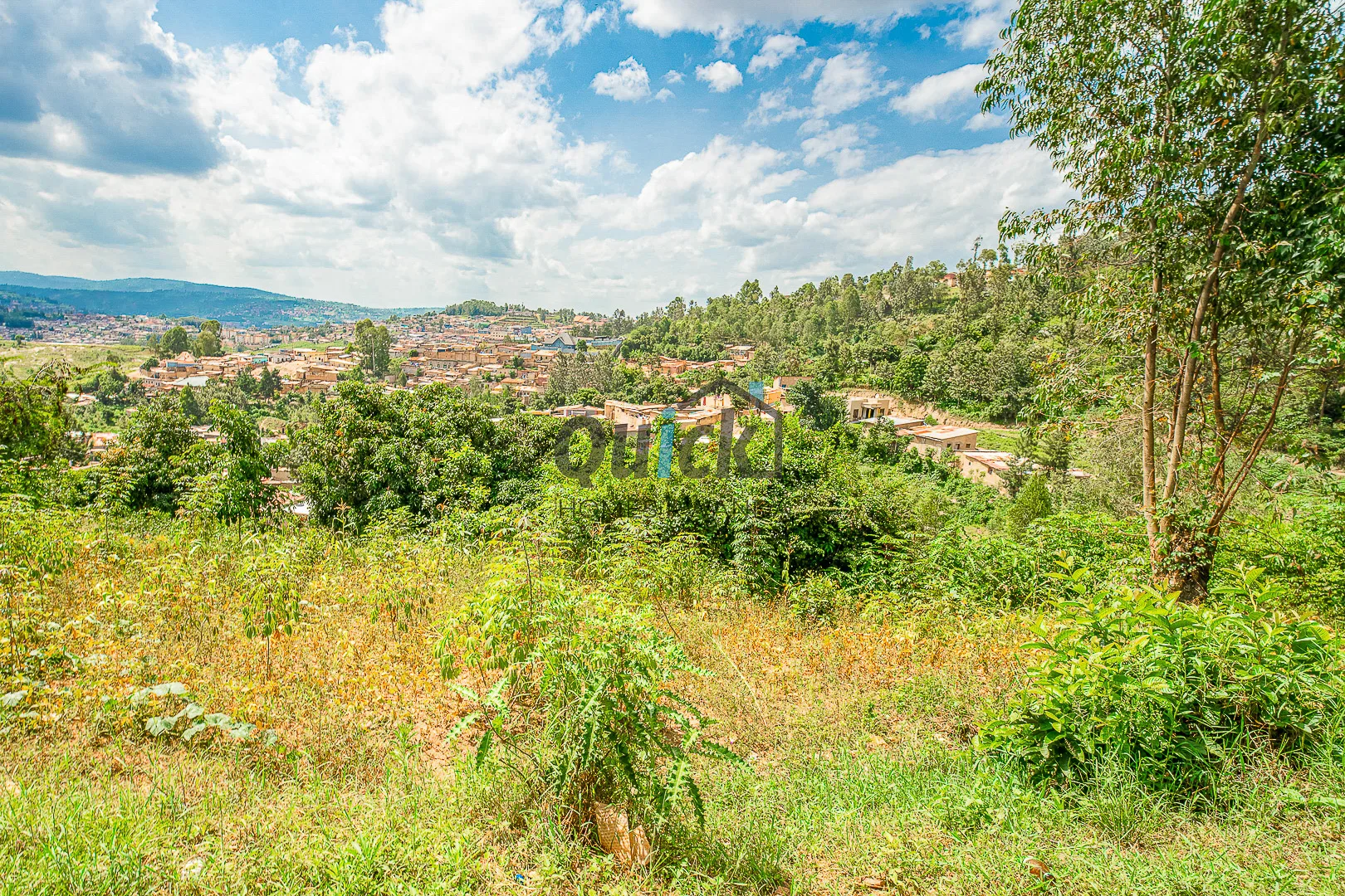 quick-photo-kagugu-plot-10