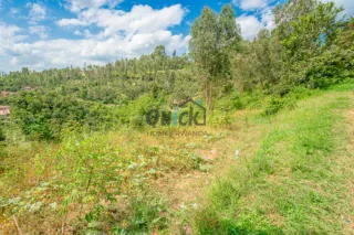 quick-photo-kagugu-plot-3