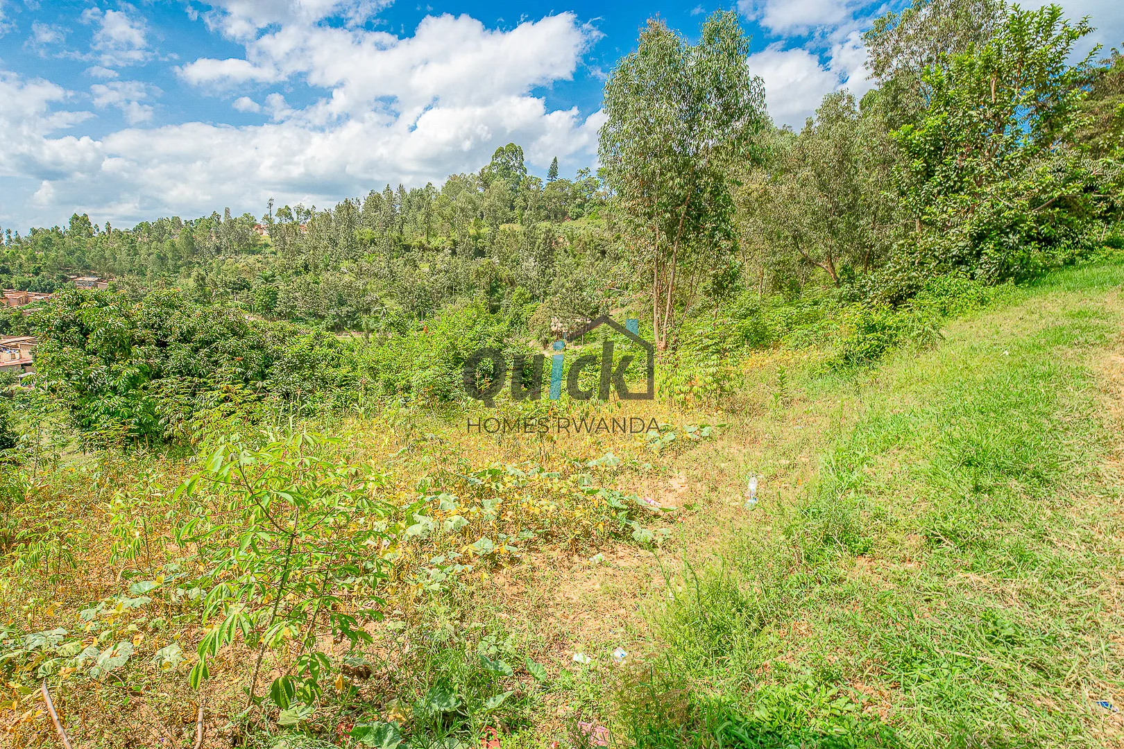 quick-photo-kagugu-plot-3