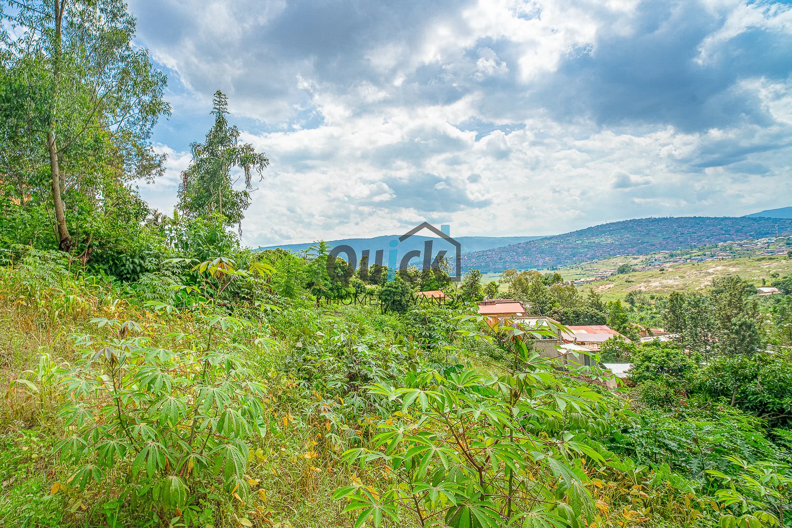 quick-photo-kagugu-plot-4