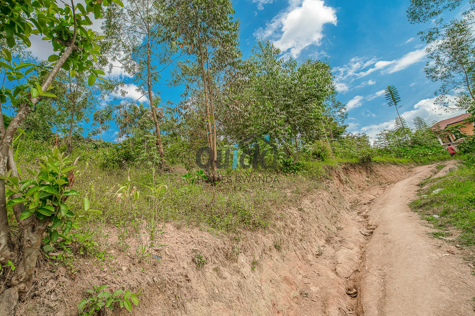 quick-photo-kagugu-plot-5