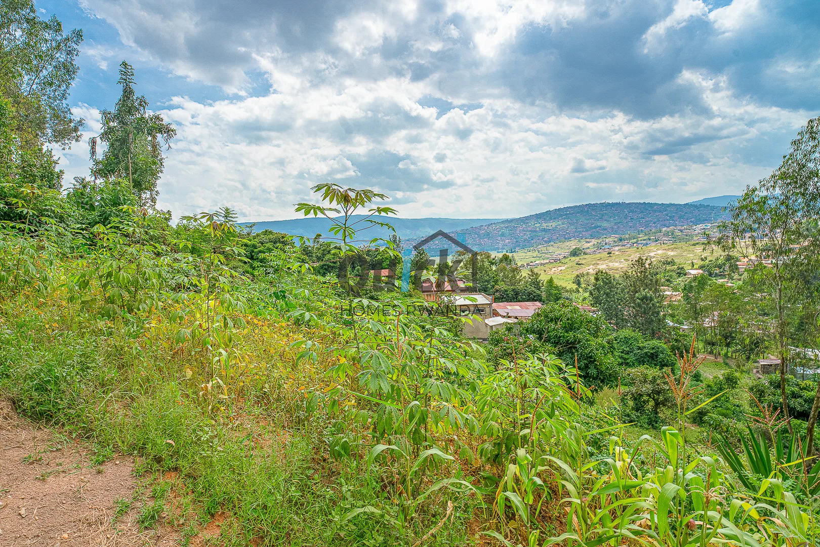 quick-photo-kagugu-plot-6