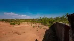Plot for sale in Kicukiro, Kigali